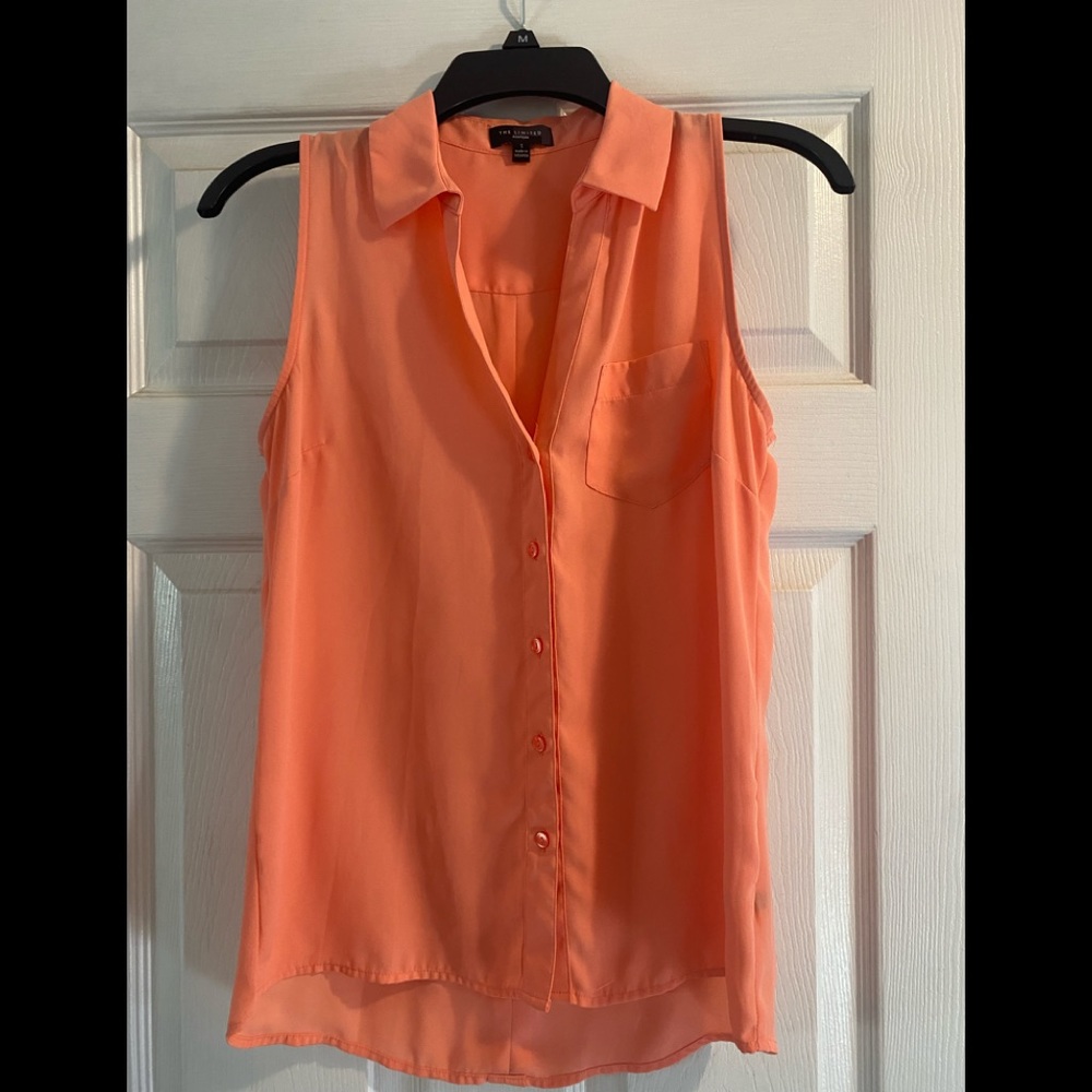 The limited Ashton Sleeveless button down blouse